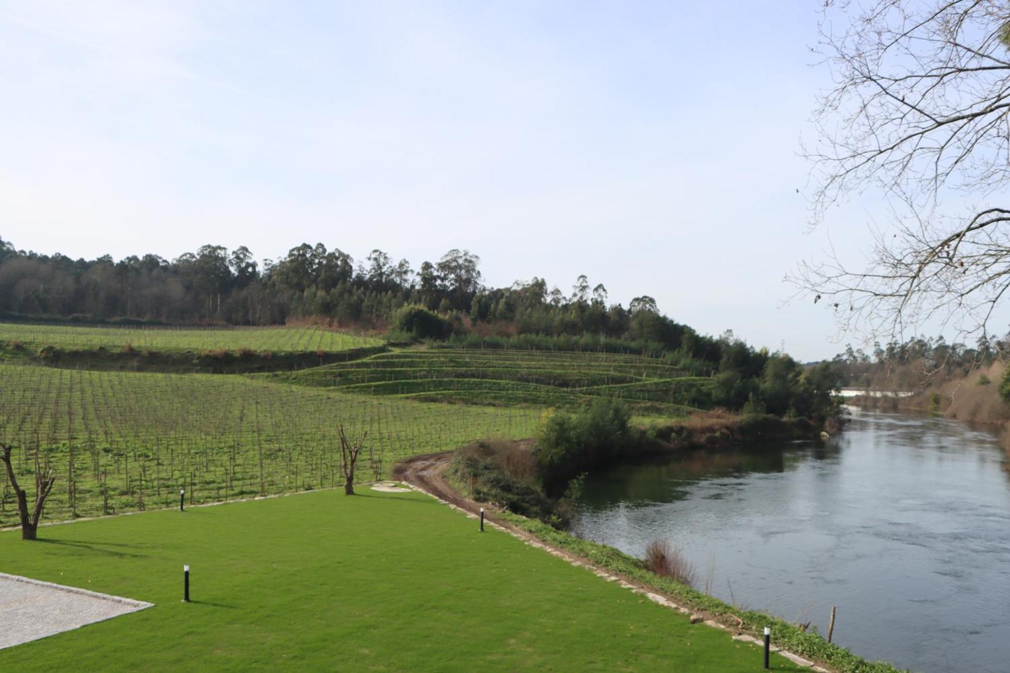 Quinta Das Areias - Solar Da Pena Villa Braga Bagian luar foto